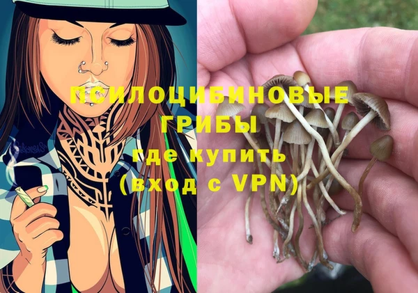 гашик Алзамай