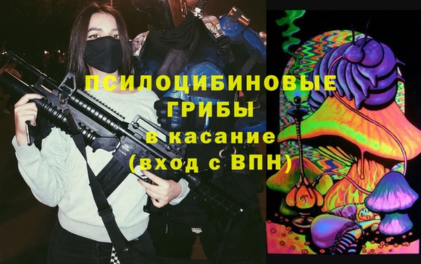 амф Алексин